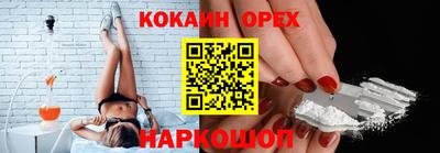 шишки Тверь