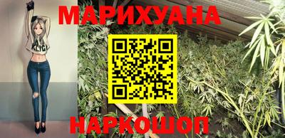 шишки Тверь