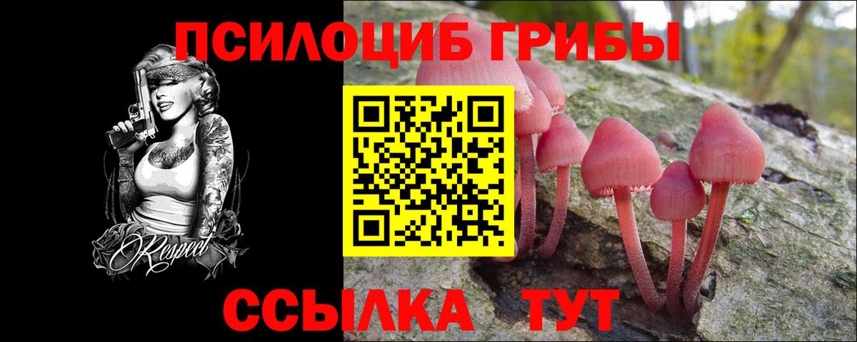 цена   Псилоцибиновые грибы Psilocybe  Вход с VPN  Павловский Посад 